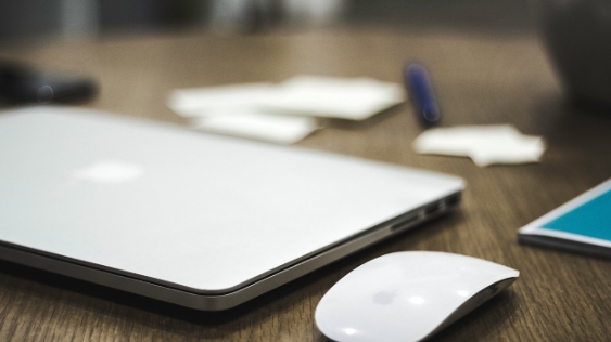 《营业执照办理网上申请流程（2025年图文教程）》